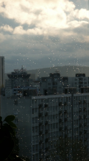 01_po_dazdi.jpg - [en]After rain[sk]Po daždi